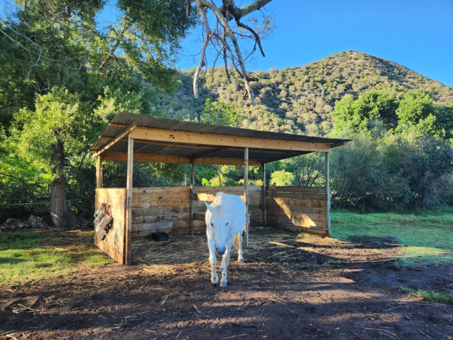 Commercial Property for Sale in Eastford Western Cape